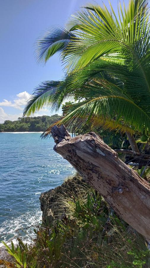 Casa Lumiere Apartment Bocas Town Bagian luar foto