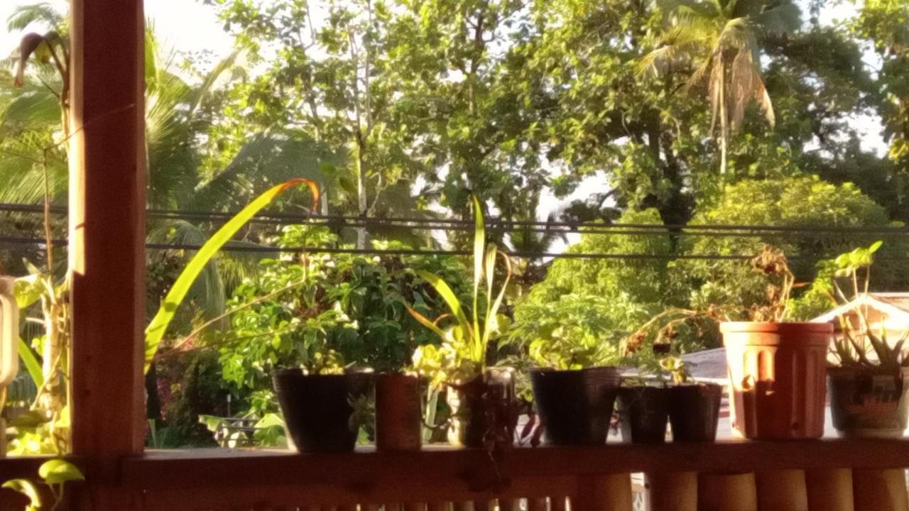 Casa Lumiere Apartment Bocas Town Bagian luar foto