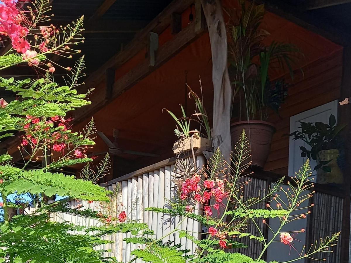 Casa Lumiere Apartment Bocas Town Bagian luar foto