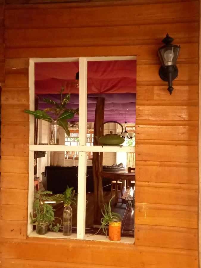 Casa Lumiere Apartment Bocas Town Bagian luar foto